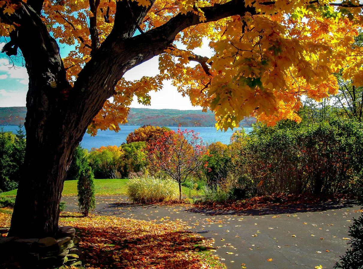 Moonshadow B&B Hammondsport Eksteriør bilde